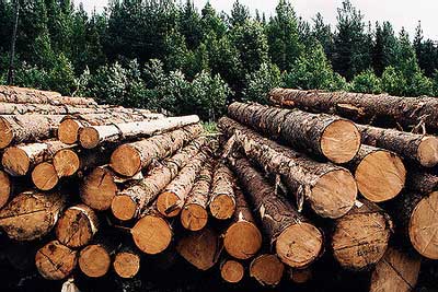рынок лесопродукции