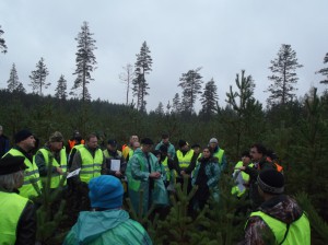 лесопромышленность, лесопользование, лесозаготовка, International Paper, Рослесхоз