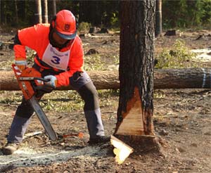 Husqvarna Лесоруб 2015