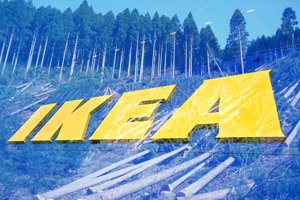 IKEA продает свой лесопильный завод