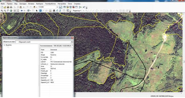 так выглядит интерфейс геоинформационной системы