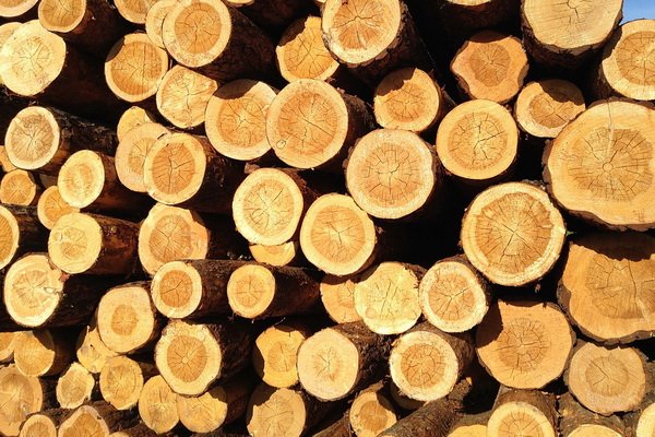 древесина, лесозаготовка