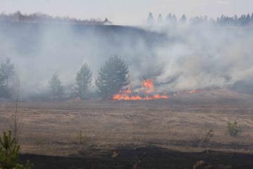 лесопожарный сезон