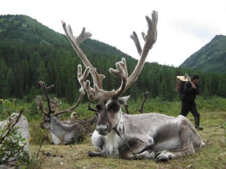 Республика Тыва