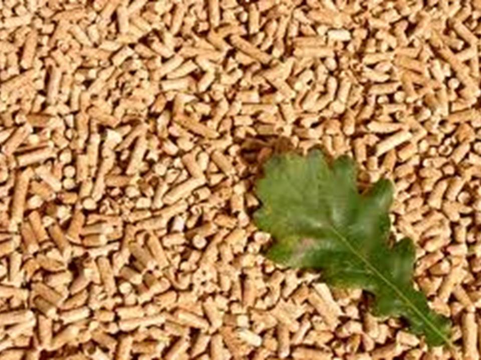 пеллетный завод &laquo;Биогран-КСТ&raquo;