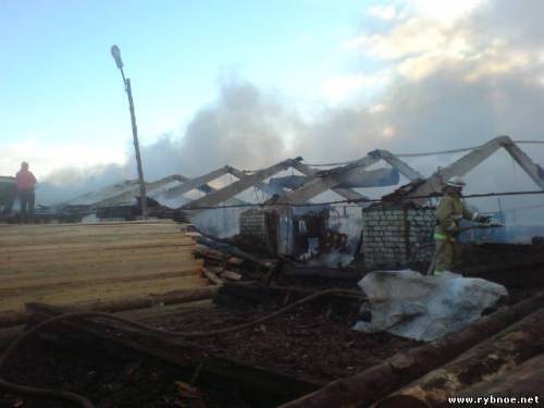 пилорама Рыбновского района