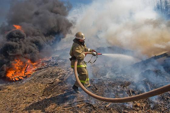 лесоохрана, лесные пожары, лесное хозяйство