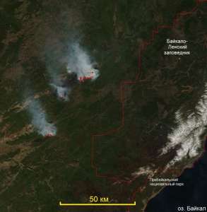 заповедник, лесные пожары, охрана леса