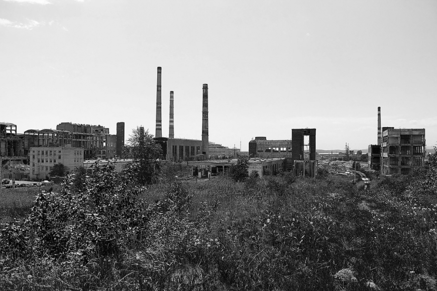 В Хабаровске перераспределят лесные участки в пользу Амурского ЦБК