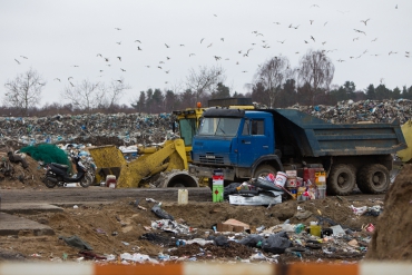 Ущерб лесу под Кировском от мусора составил почти 274 тысячи рублей