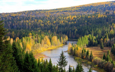 Россия вышла на первое место в мире по площади лесов, где ведется ответственное лесное хозяйство