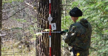 В лесничествах Воронежской области начался полевой этап лесоустроительных работ