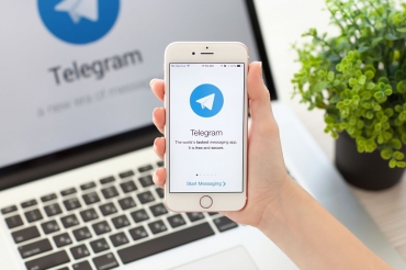Интернет-журнал «Дерево.RU» запустил собственный канал в «Telegram»