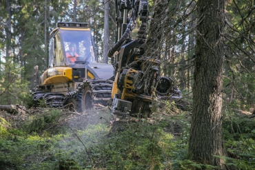Индекс обработки древесины и производства изделий из дерева в 2016 году в лесопромышленном комплексе Вологодской области составил 7 %
