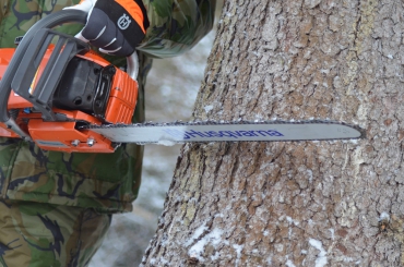 Право спилить главную ель страны досталось Husqvarna