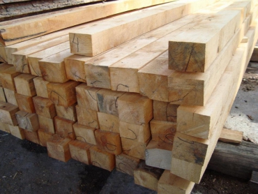 Лесопромышленный комплекс добавит в казну Тверской области дополнительно 300 млн рублей налогов