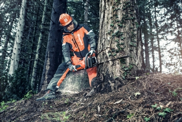 Современные требования к профессии вальщика леса