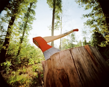 98 лет назад была национализирована российская лесная промышленность