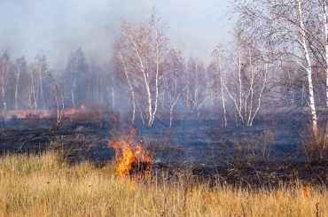 Федеральная диспетчерская служба Рослесхоза рекомендует Забайкальскому краю введение особого противопожарного режима в целях предотвращения вспышки лесных пожаров
