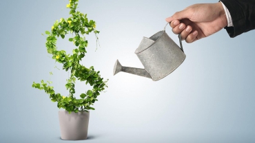 Деревообработка может приносить большие доходы