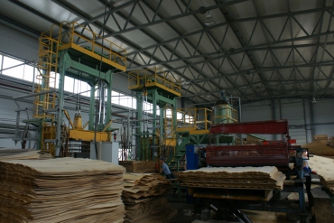 21 приоритетный инвестиционный проект в области освоения лесов утвержден на Вологодчине