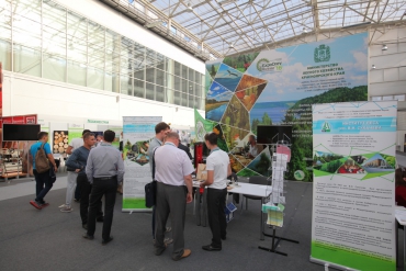 В Красноярском крае реализуются шесть инвестиционных проектов в области освоения лесов