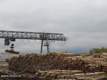 «СВЕЗА» прошла ресертификационный аудит цепочки поставок FSC