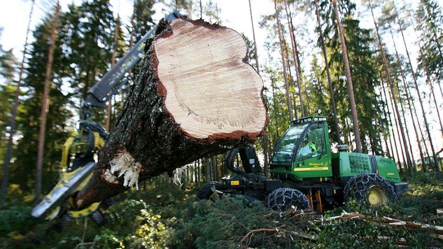 Форум ЛПК 360°: развитие лесопромышленного комплекса