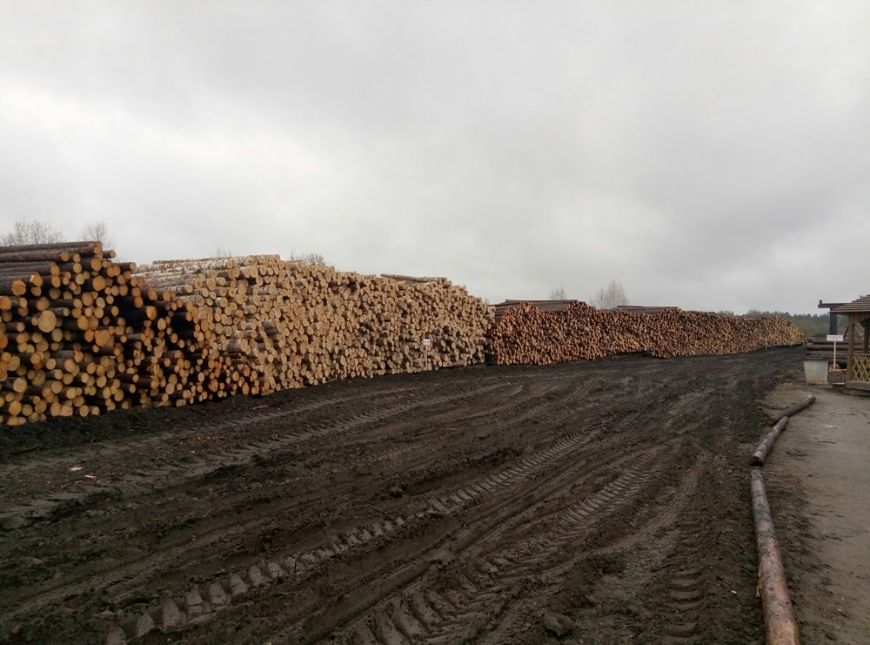 В Тотемском районе начинается строительство лесоперерабатывающего комплекса компании «Вологдалесхоз»