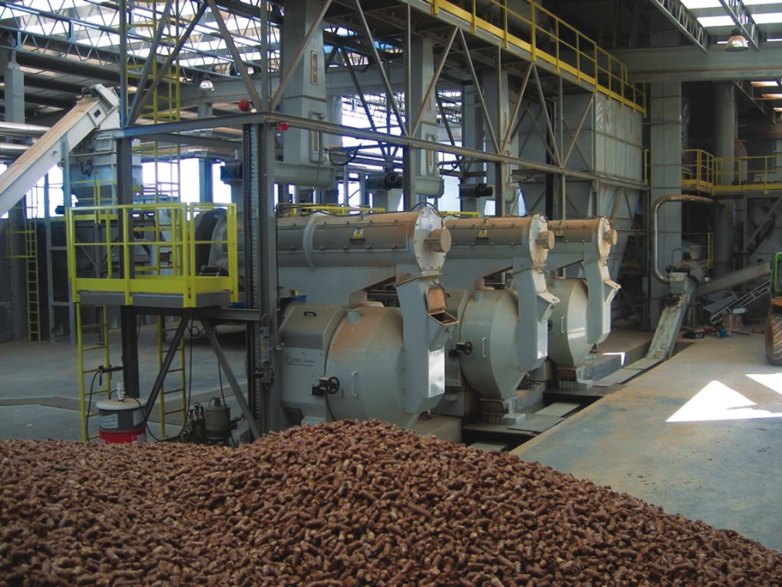 Корейские компании планируют организовать производство топливных пеллет в Приморском крае