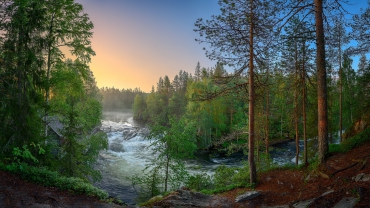 Лесозаготовка в Финляндии: итоги начала года
