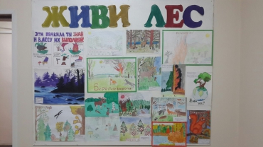 Живи, белозерский лес!