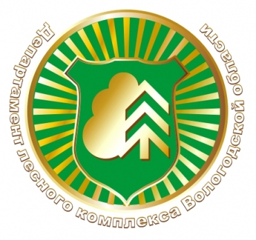 20 лет назад был создан Департамент лесного комплекса  Вологодской области