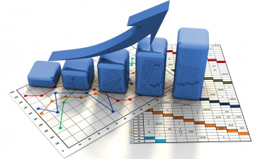 Составлен рейтинг эффективности работы государственных лесничеств Вологодской  области