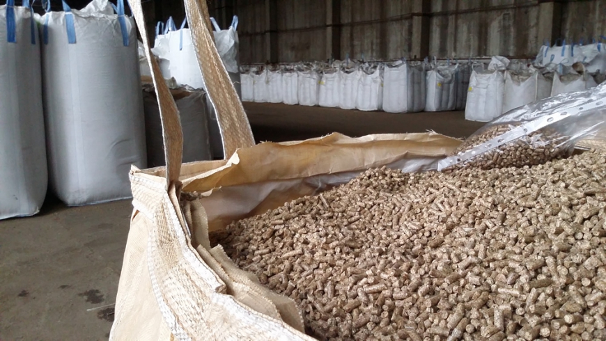 Японская корпорация планирует организовать производство топливных пеллет в Бурятии