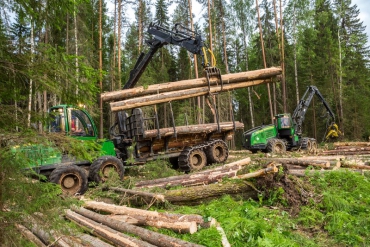 Машины John Deere завоевали «золото» на чемпионате «Лесоруб XXI века»