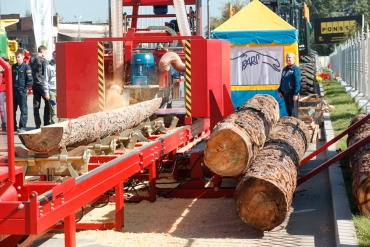 Красноярский край имеет перспективы развития целлюлозно-бумажной промышленности