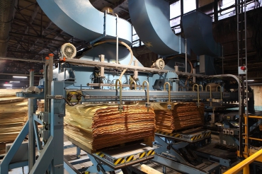 Сотрудничество лесопереработчиков и поставщиков сырья позволяет улучшать качество продукции деревообработки