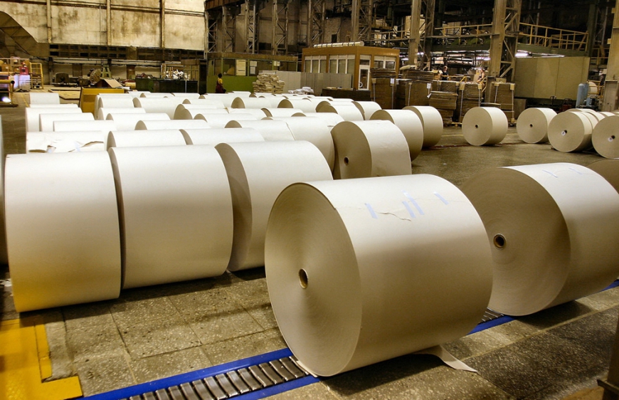 Инвестиции в ЦБП Архангельской области составили 27 млрд руб